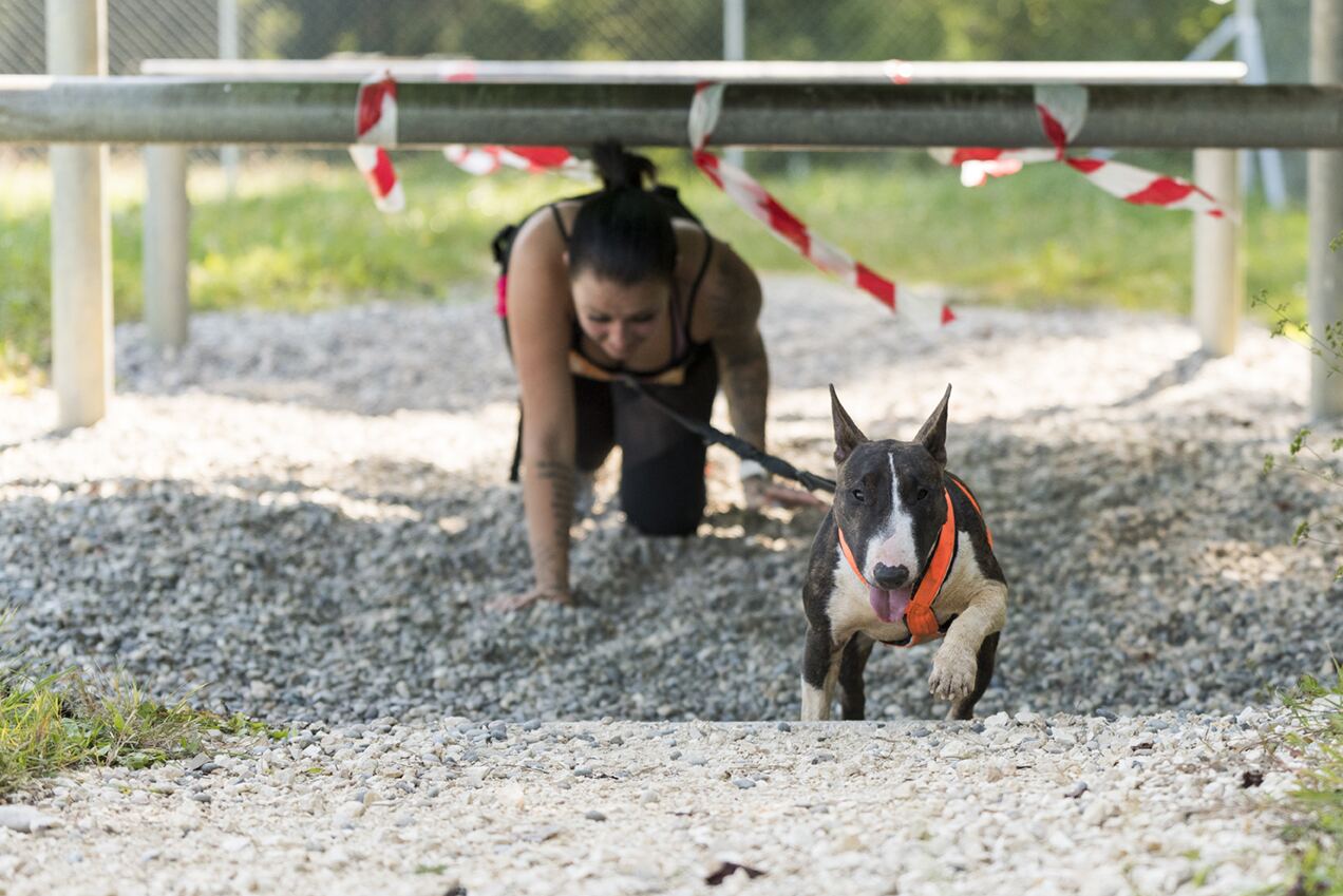 Hund und Teilnehmer beim Tough Dogz Run