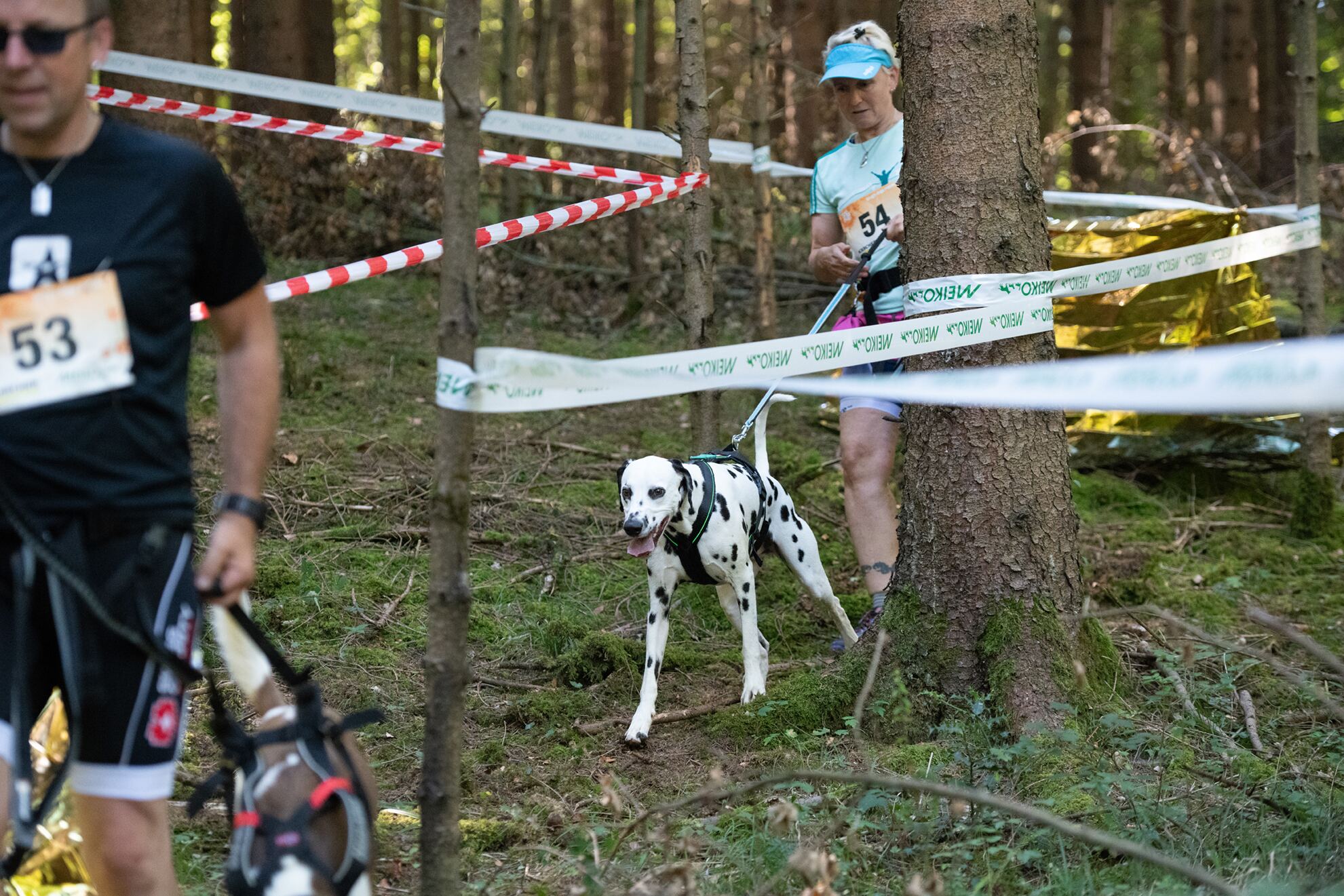 Atmosphäre beim Tough Dogz Run