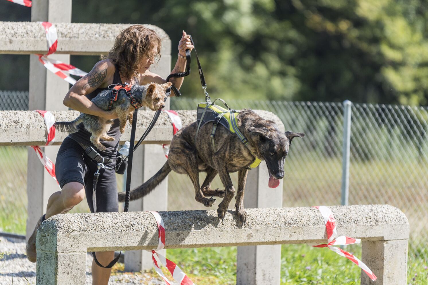 Action an der Strecke