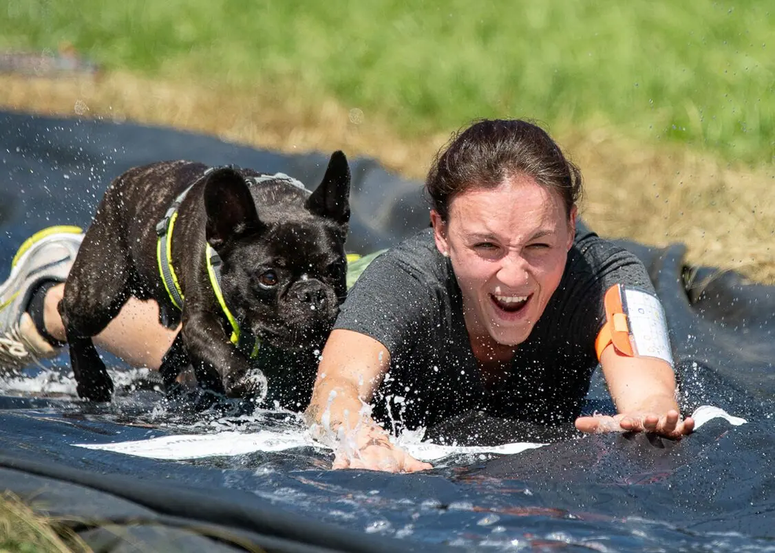 Läuferin und Französische Bulldogge schlittern die nasse Rutschbahn hinunter