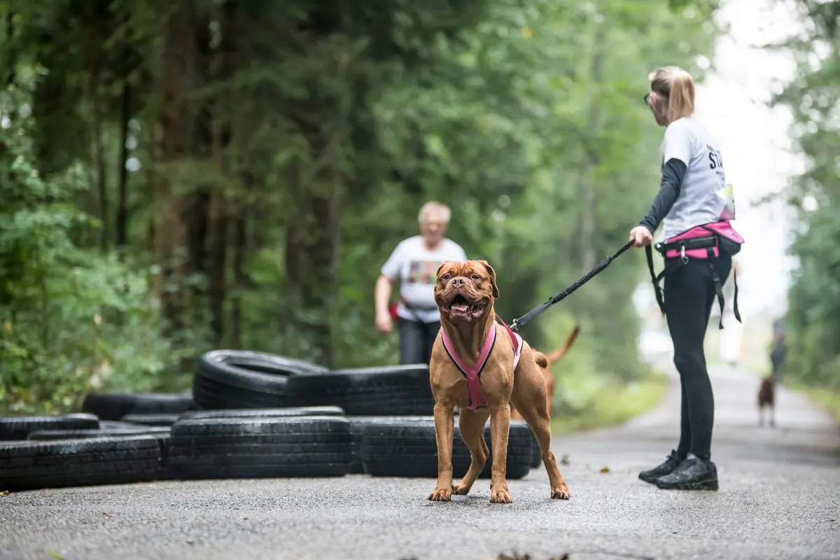 Läuferin mit Hund vor einem Feld aus Autoreifen
