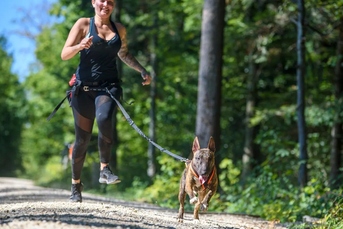 Läuferin rennt mit ihrem Hund auf einem Waldweg